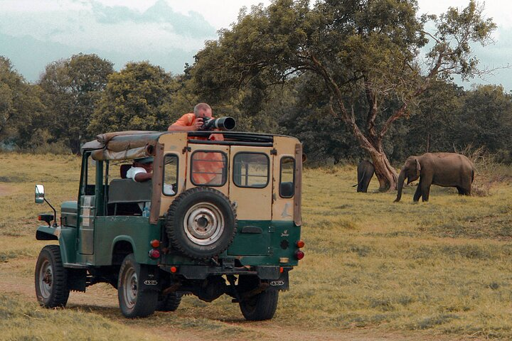 Udawalawe National Park Safari from Koggala  - Photo 1 of 9